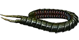 Ryslatha's Coil