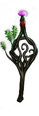 Lifesprig