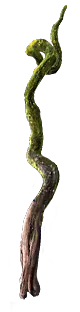 Mirebough