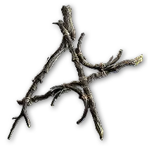Twig Focus of Excitement