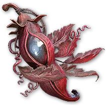 Spiteful Floret